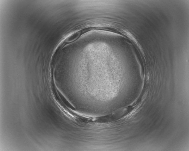 X0000061140787200512022246