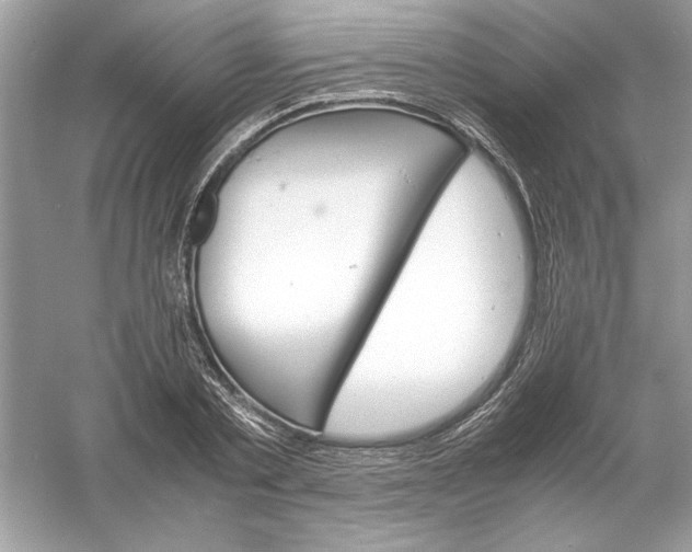 X0000061140789200512022246