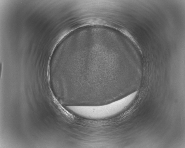 X0000061140791200512022246