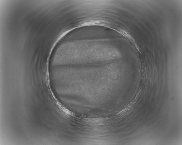 X0000061140792200512022246