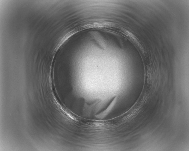 X0000061140794200512022246