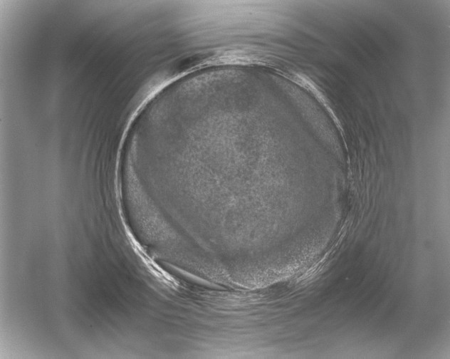 X0000061140795200512022246