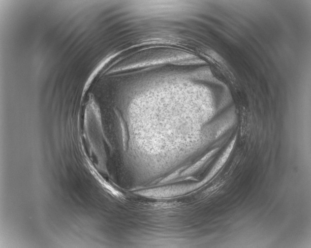 X0000061140796200512022246