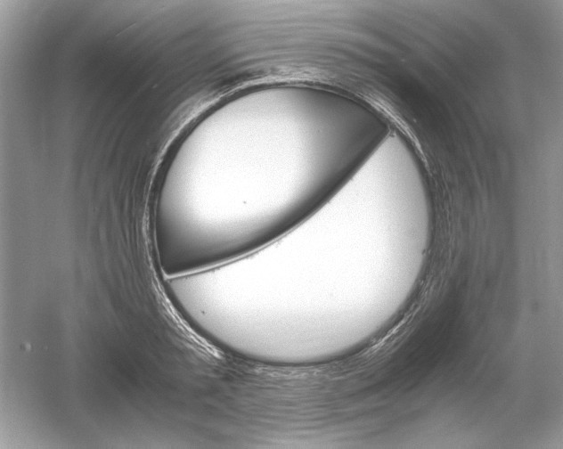 X0000061140797200512022246