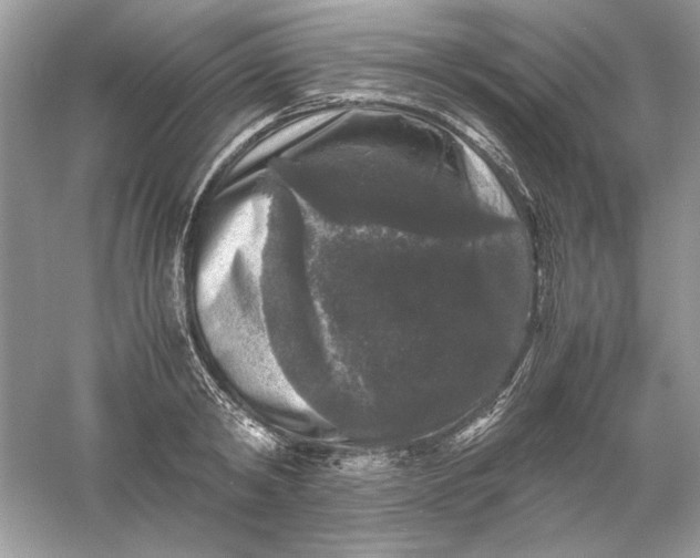 X0000061140798200512022246