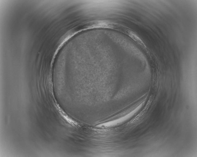 X0000061140800200512022246