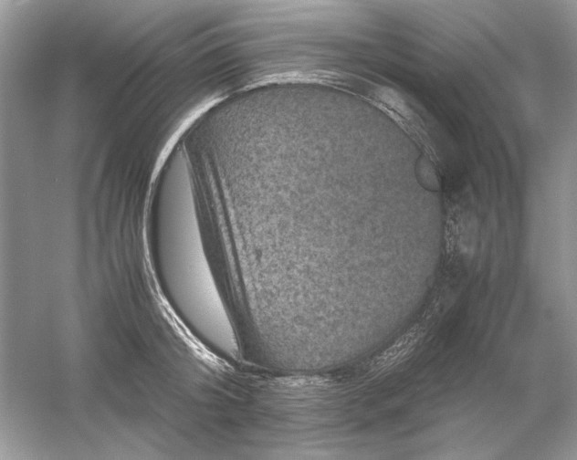 X0000061140804200512022246