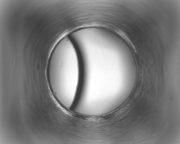 X0000061140805200512022246