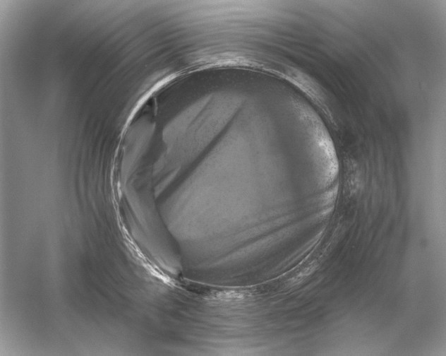 X0000061140806200512022246