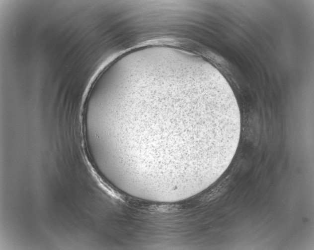 X0000061140808200512022246