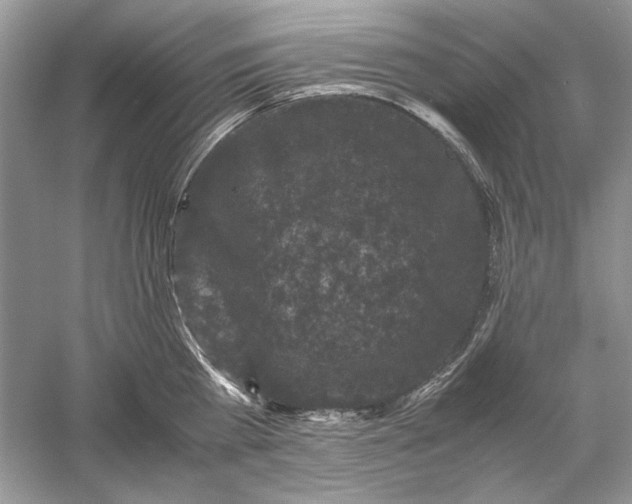 X0000061140809200512022246