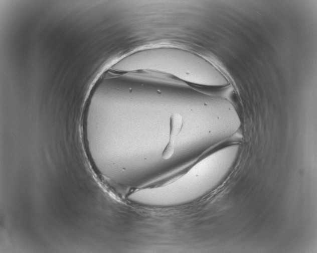 X0000061140813200512022246