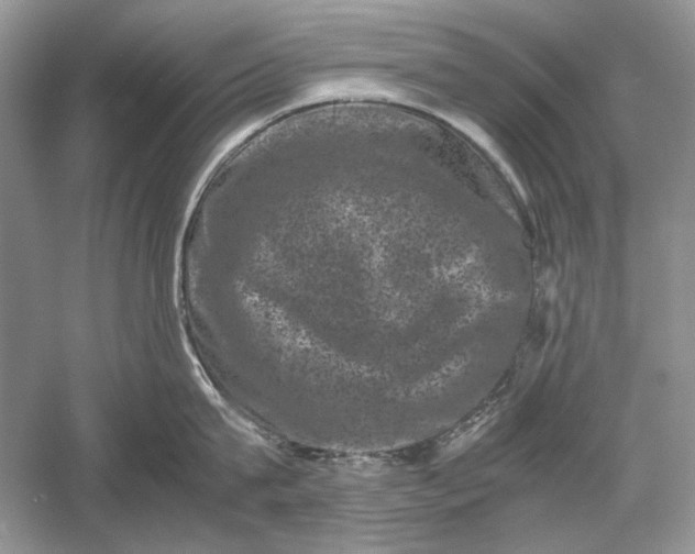 X0000061140815200512022246