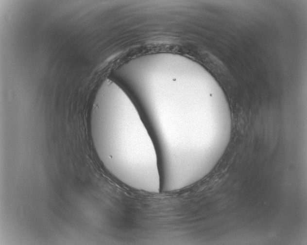 X0000061140821200512022245