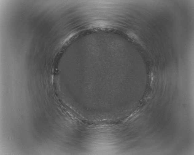 X0000061140822200512022245