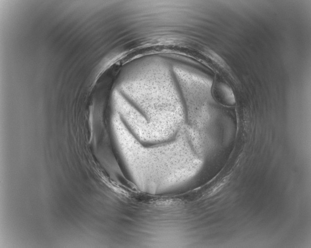 X0000061140826200512022245