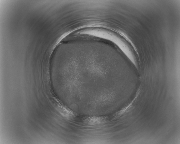 X0000061140829200512022245