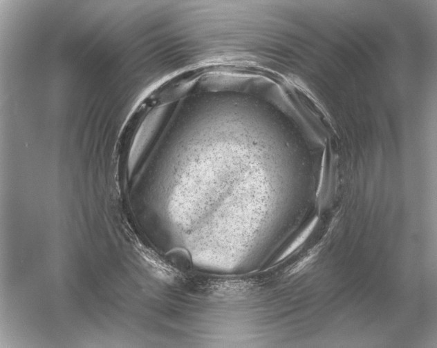 X0000061140830200512022245