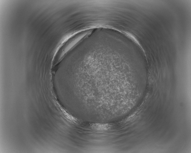 X0000061140831200512022245