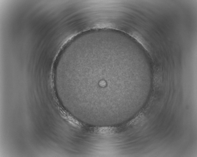 X0000061140832200512022245