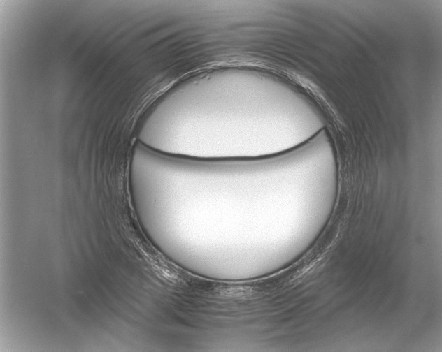 X0000061140833200512022245