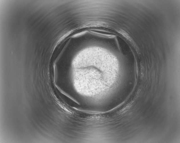 X0000061140834200512022245