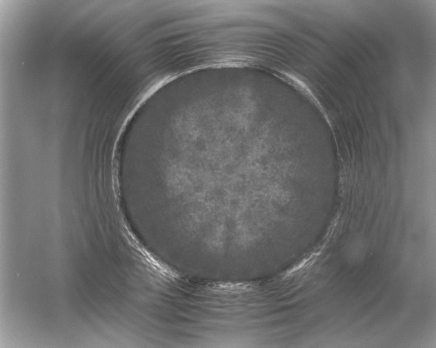 X0000061140835200512022245