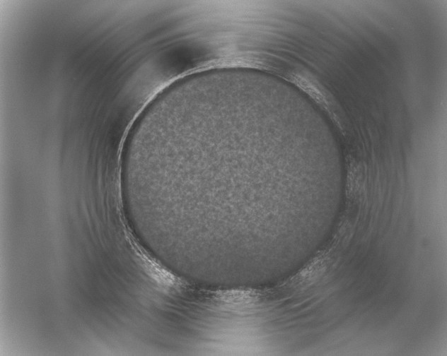 X0000061140836200512022245