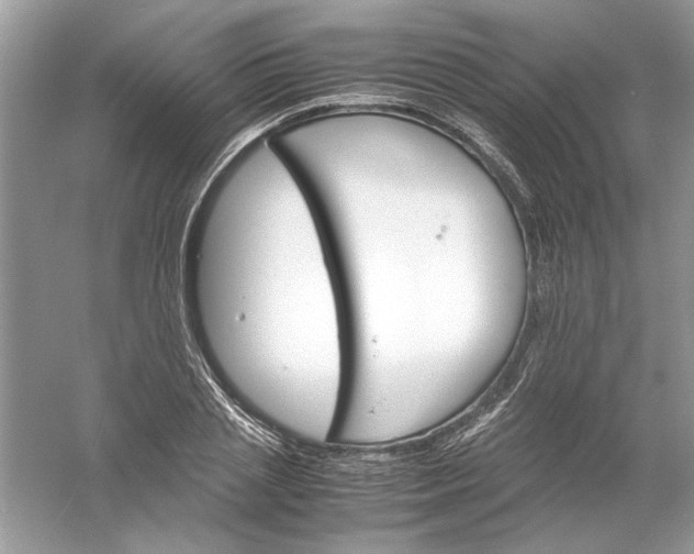 X0000061140837200512022245