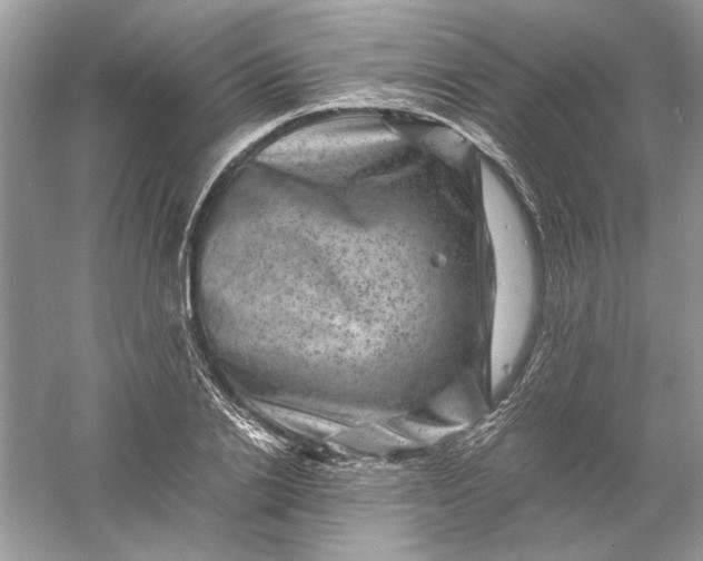 X0000061140838200512022245