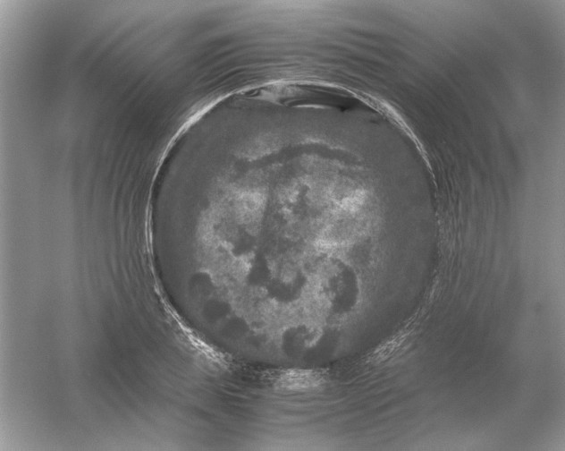 X0000061140839200512022245