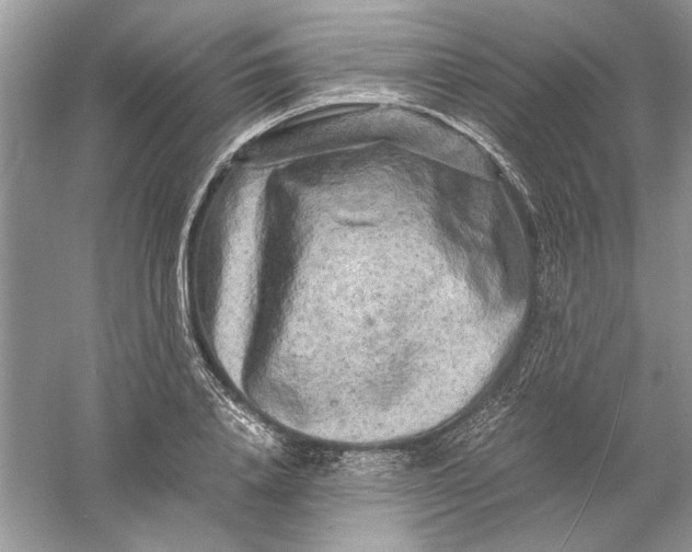 X0000061140840200512022245