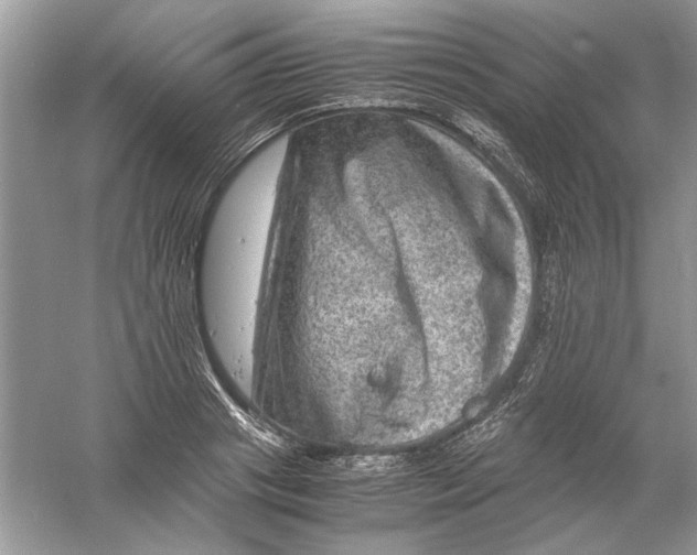 X0000061140841200512022245