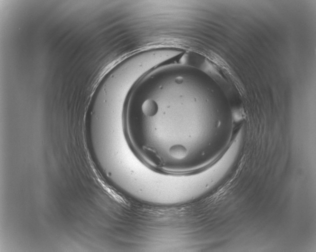 X0000061140842200512022245