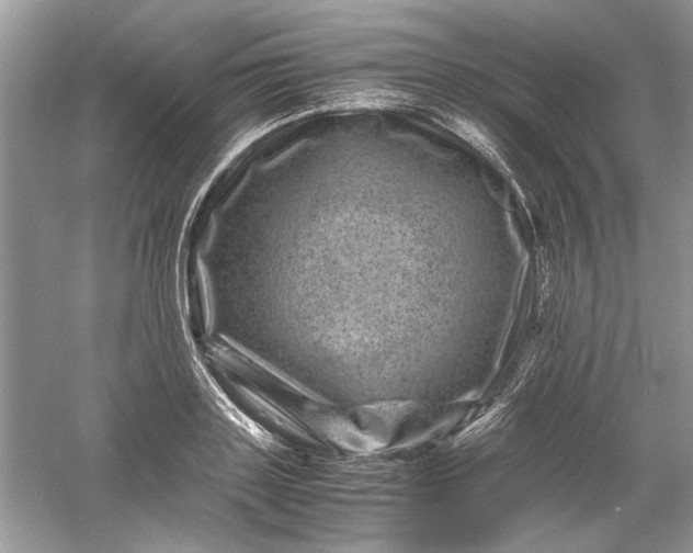 X0000061140843200512022245