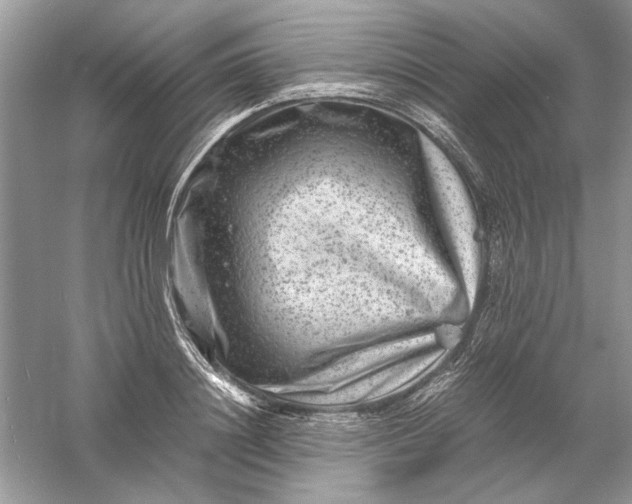 X0000061140844200512022245