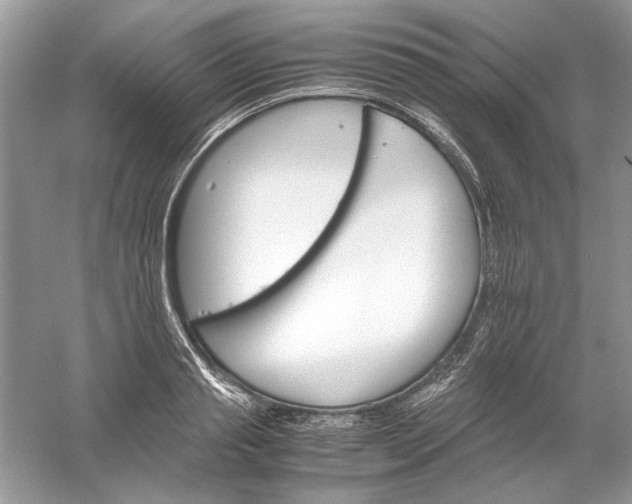 X0000061140845200512022245