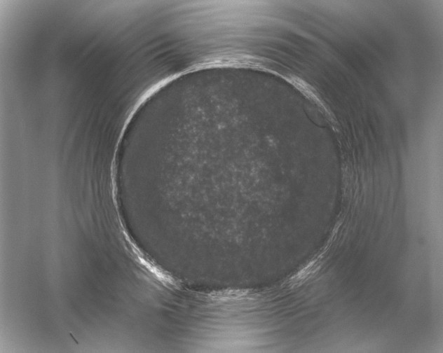 X0000061140846200512022245