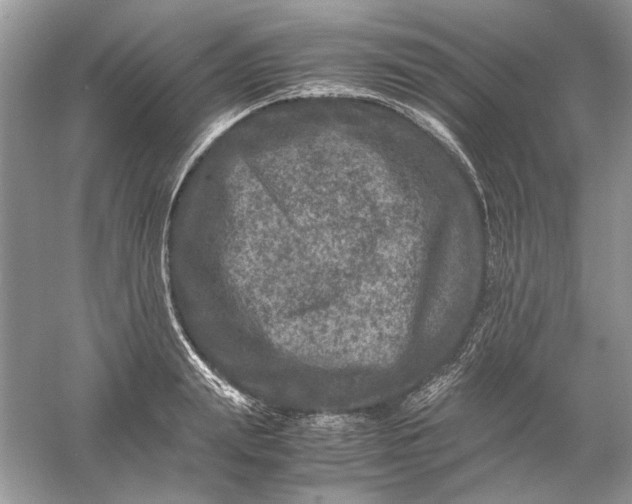 X0000061140847200512022245