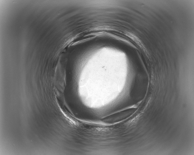 X0000061140849200512022245