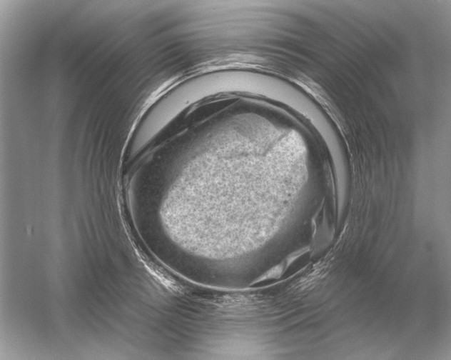 X0000061140850200512022245