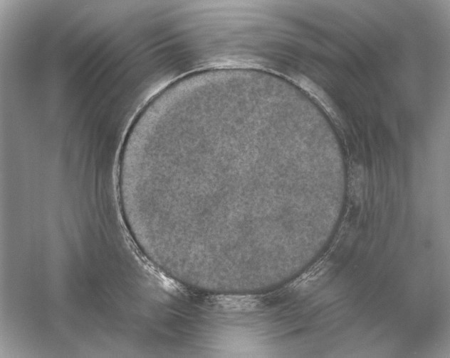 X0000061140856200512022245