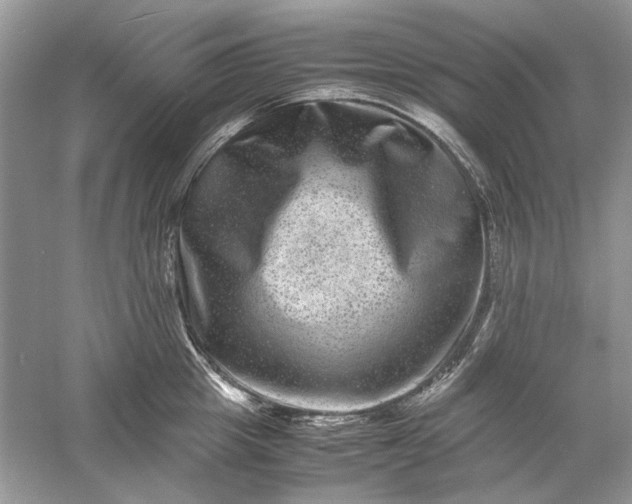 X0000061140857200512022245