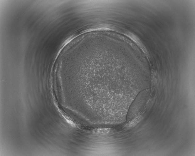 X0000061140858200512022245