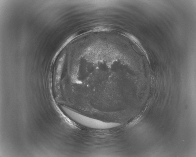 X0000061140859200512022245