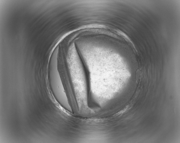 X0000061140860200512022245