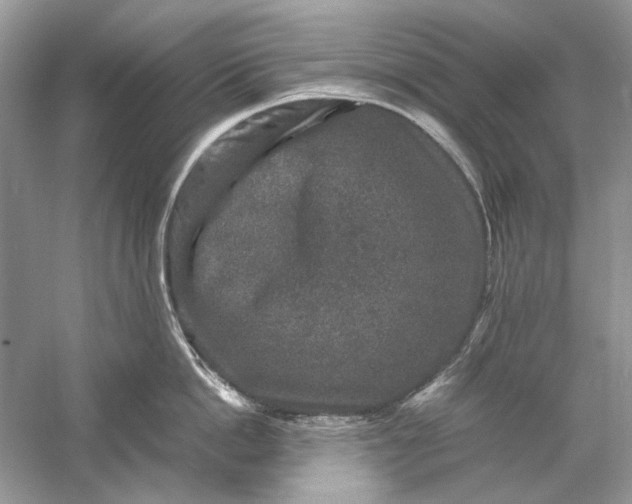 X0000061140862200512022246