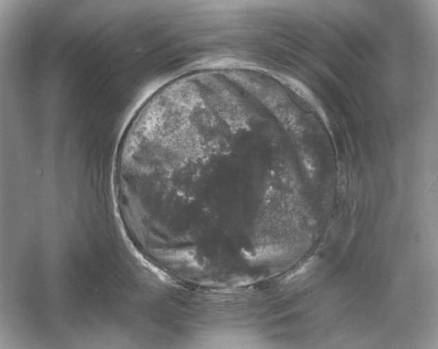 X0000061140863200512022246