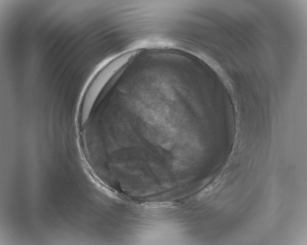 X0000061140864200512022246