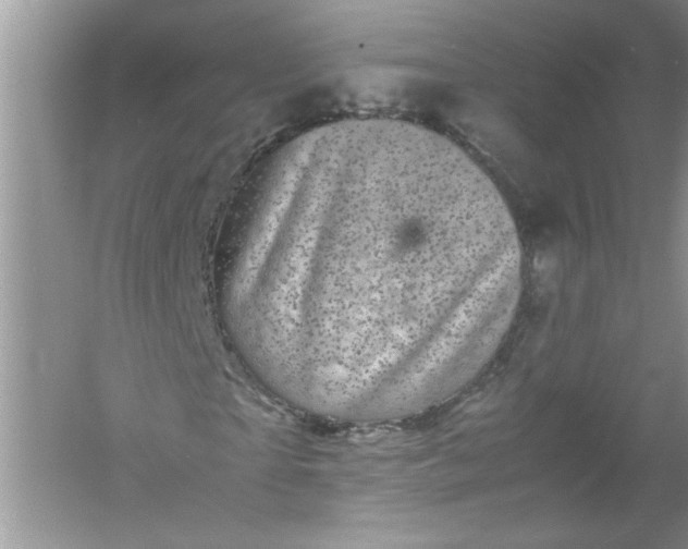 X0000061140865200512022245